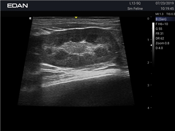 EDAN Acclarix AX2 VET