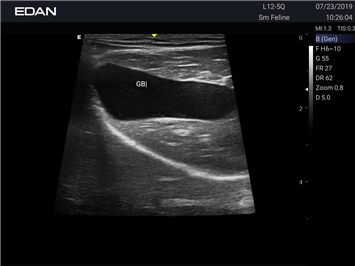 EDAN Acclarix AX2 VET