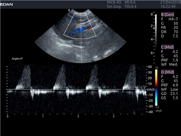EDAN Acclarix LX4 VET